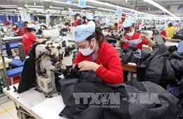 Kinh tế Việt Nam phục hồi sau &#39;cơn choáng&#39; TPP 